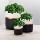 18 Picks Artificiais E Mini Folhagens Perfeitas Para Arranjos