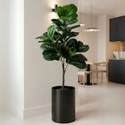 1 Árvore Ficus Artificial Lyrata (135cm) Realista - Decoração