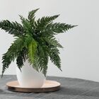 1 Buquê De Samambaia Verde Artificial Realista Decora Seu Amb