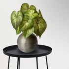 1 Buquê De Singônio Com Folhagem Artificial Permanente Verde