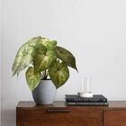 1 Buquê De Singônio Com Folhagem Artificial Permanente Verde