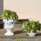 1 Buquê De Singônio Com Folhagem Artificial Permanente Verde