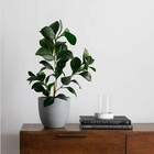 1 Haste De Folha Peperômia Artificial Realista Para Decoração