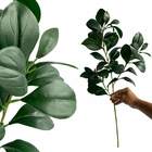 1 Haste De Folha Peperômia Artificial Realista Para Decoração