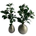 1 Haste De Folha Peperômia Artificial Realista Para Decoração