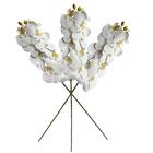1 Haste De Orquídea Artificial Branca (80cm) Com 9 Flores Rea