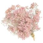 1 Mini Buquê Gypso (mosquitinho) Rosa I Flores Desidratadas