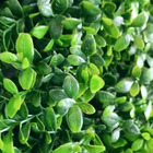 1 Painel De Folhagem Jardins Artificiais Externos Primavera