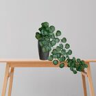 1 Pendente De Folhagem Begônia Artificial Realista - Trepadei