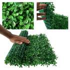 1 Placa De Amendoim Verde 60x40 Para Jardim Vertical Interno