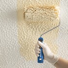 1 Refil Fachada Universal 220mm Dexter