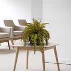 1 Samambaia Artificial Realista Para Sala Varanda Ou Jardim V