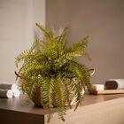 1 Samambaia Artificial Realista Para Sala Varanda Ou Jardim V