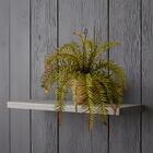 1 Samambaia Artificial Realista Para Sala Varanda Ou Jardim V