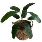 1 Unidade De Árvore Heliconia Verde Artificial Ideal Para Dec