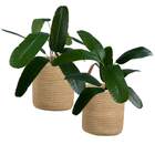 1 Unidade De Árvore Heliconia Verde Artificial Ideal Para Dec