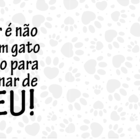 1 Xícara 325ml Gato Preto Sorte Gata Pets + Caixa Presente