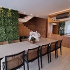 1m2 Muro Inglês Jardim Vertical Folhagem Variada Desidratada