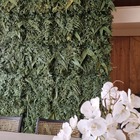 1m2 Muro Inglês Jardim Vertical Folhagem Variada Desidratada