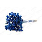 200 Botão Azul Vitória Desidratado Sempre Viva Flores Secas