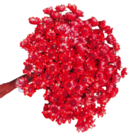 200 Sempre Viva Florzinha Vermelha I Flores Desidratadas