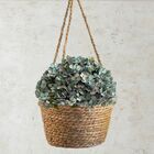 20 Buquês De Mini Hortênsias Artificiais Flor Azul Com Aparên