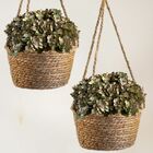 20 Buquês De Mini Hortênsias Artificiais Flor Verde Com Aparê