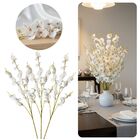 20 Flores De Orquídea Branca Permanente - Decore Casamentos E