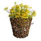 20 Flores Mosquitinho Amarelo Permanente Para Decoração Sofis