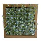 20 Flores Mosquitinho Azul Permanente Para Decoração Sofistic