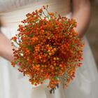 20 Flores Mosquitinho Laranja Permanente Para Decoração Sofis