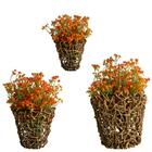 20 Flores Mosquitinho Laranja Permanente Para Decoração Sofis