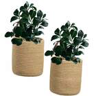 20 Galhos Verdes De Folha Peperômia Artificial Versátil Para