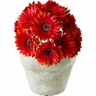 20 Gerberas Laranja Artificiais Aveludada De (55cm) Ideal Par