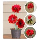 20 Gerberas Laranja Artificiais Aveludada De (55cm) Ideal Par