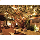 20 Metros Varal De Luzes Festão Cordão Soquete E27 Bivolt