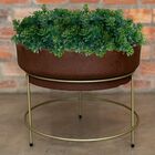 20 Mini Buquês De Plantas Permanentes Com Ótimo Preço E Alta