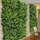 20 Painéis Prontos Para Uso 60x40 Folhagem Mista Cheflera Par