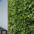 20 Painéis Prontos Para Uso 60x40 Folhagem Mista Cheflera Par