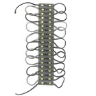 20 Pçs Mini Módulo Led 12v Ip67 5050 2-led Frio 6500k 27mm