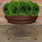 20 Picks Artificiais Em Buquês Realistas (6 Hastes) - Perfeit