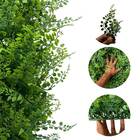 20 Placas De Plantas Artificiais Para Decoração De Parede Ver