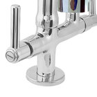 2141 C80 - Torneira  Filtro  Bancada  Gourmet Duplo Jato