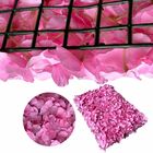 22 Moldura de Flores Artificiais Premium Placas 60x40cm Decor