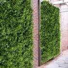 22 Painéis Para Decoração Suspensa Linha Premium Com Aspecto