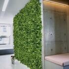 22 Placas De Gramas Artificiais Para Jardins Verticais Alta Q