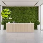 24 Quadros De Plantas Artificiais 60x40 Decoração Para Jardim