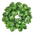 24 Unid. Correntes De Hera Artificial 2 Metros