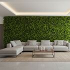 25 Placas De Eucaliptos Artificiais Qualidade Garantida Para