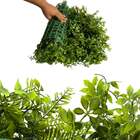 25 Quadros Permanentes Com Folhagens Ricas - Parede De Planta